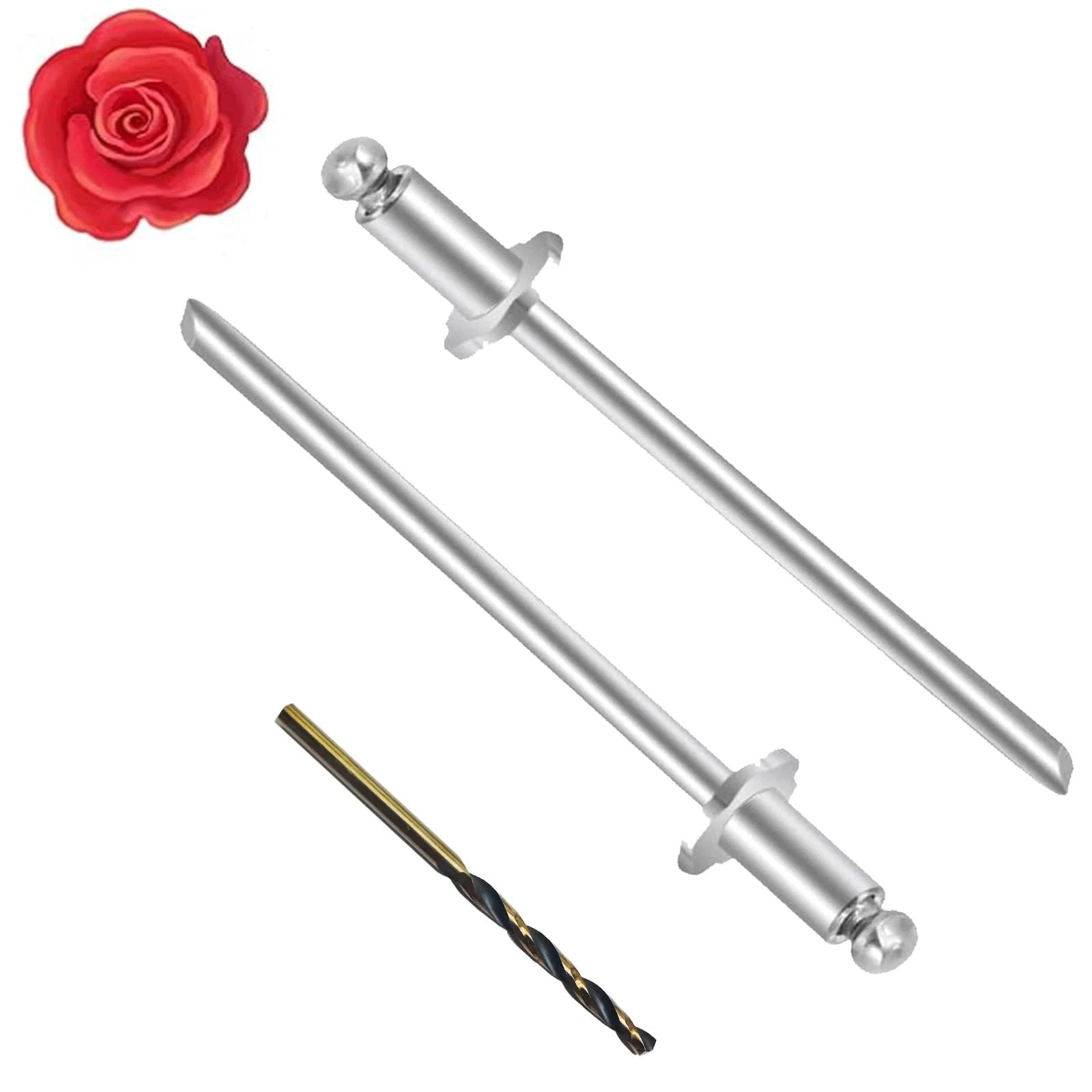Stainless Rosette Rivets For VIN Tags Fits Ford ✓