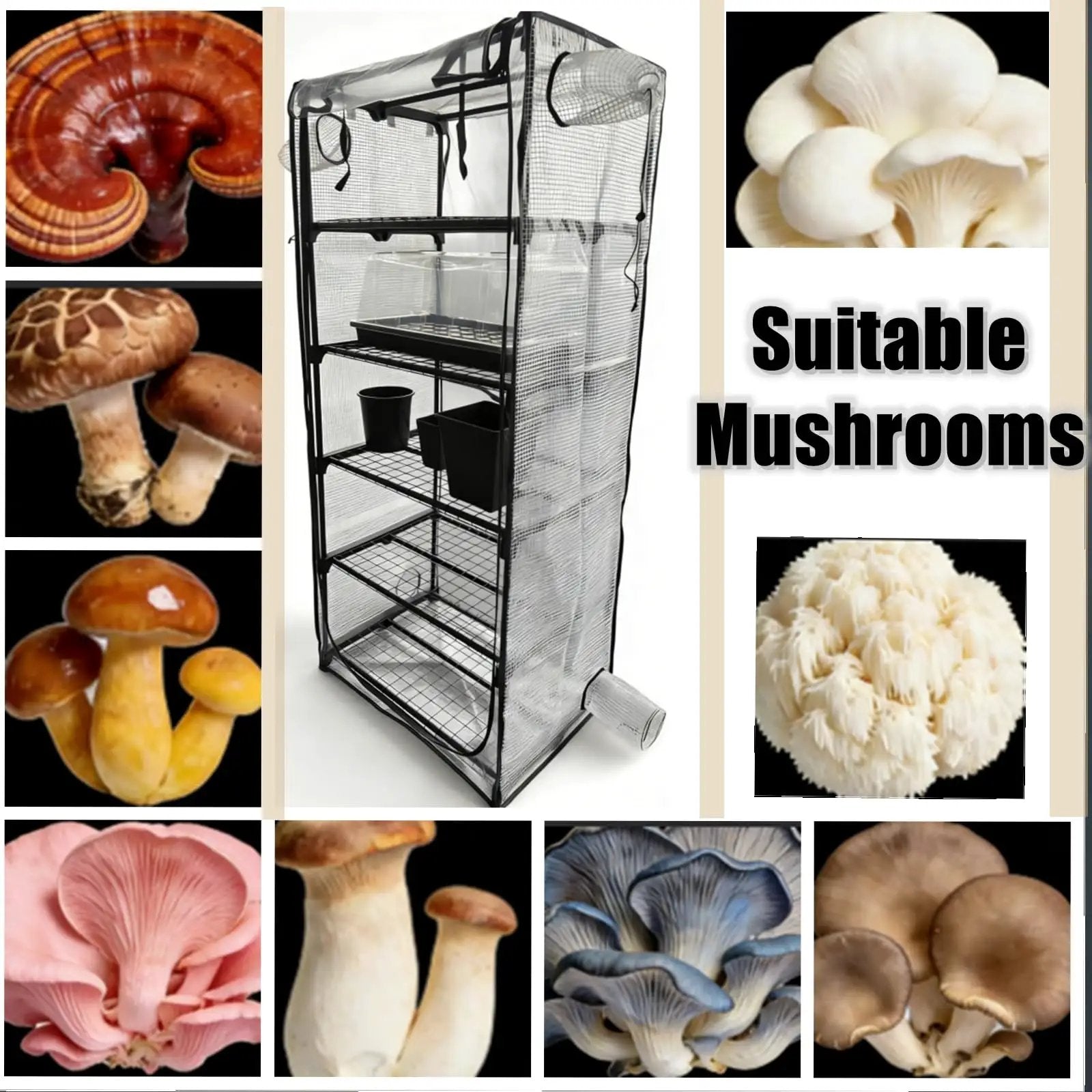 Indoor Mushroom Grow Tent Kit With Sturdy Racks For Trays And Fruiting Blocks, Mini Greenhouse For Home Growers, Waterproof PVC Cover, Rust Resistant 