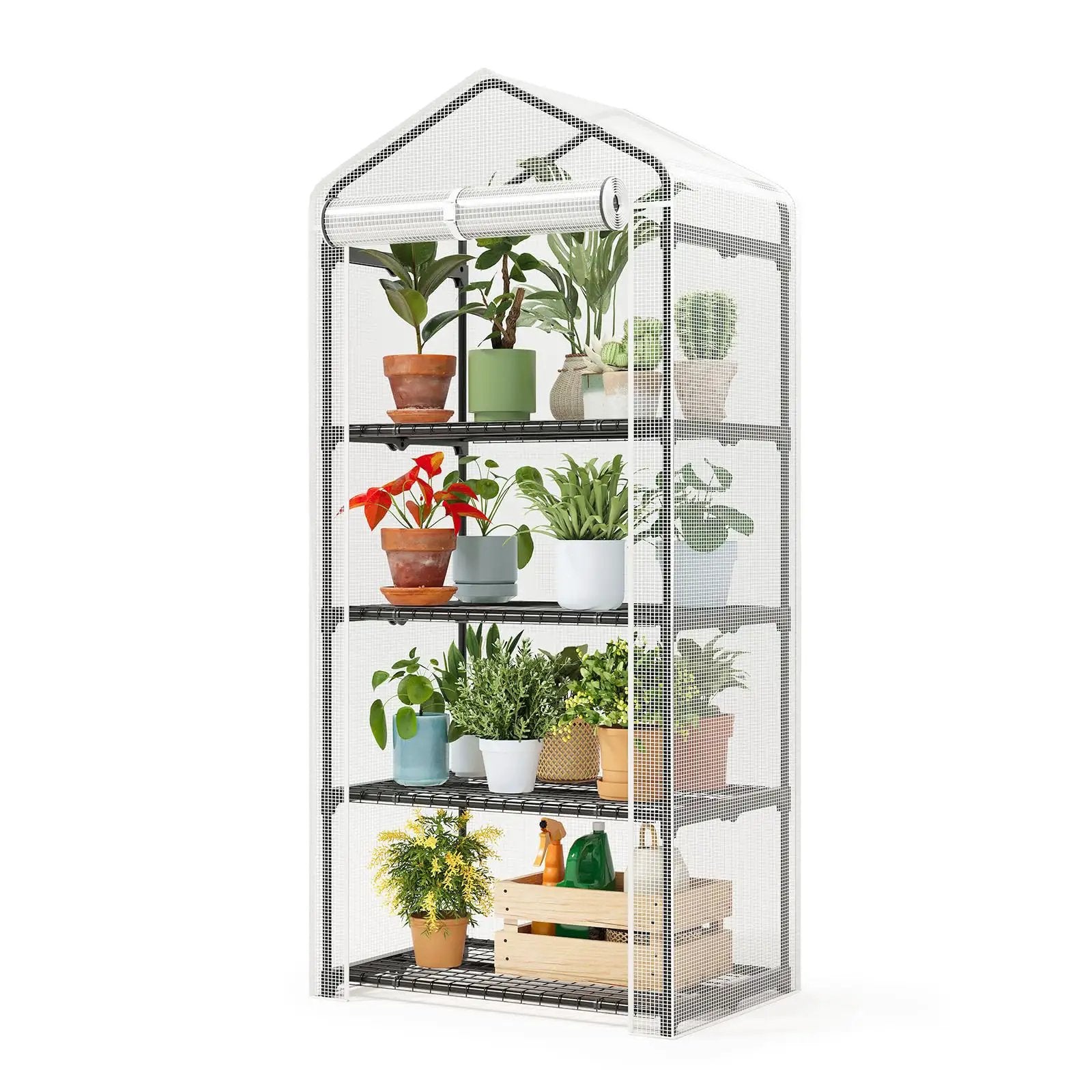 Four Tier Mini Greenhouse | Space-saving Grow House ✓