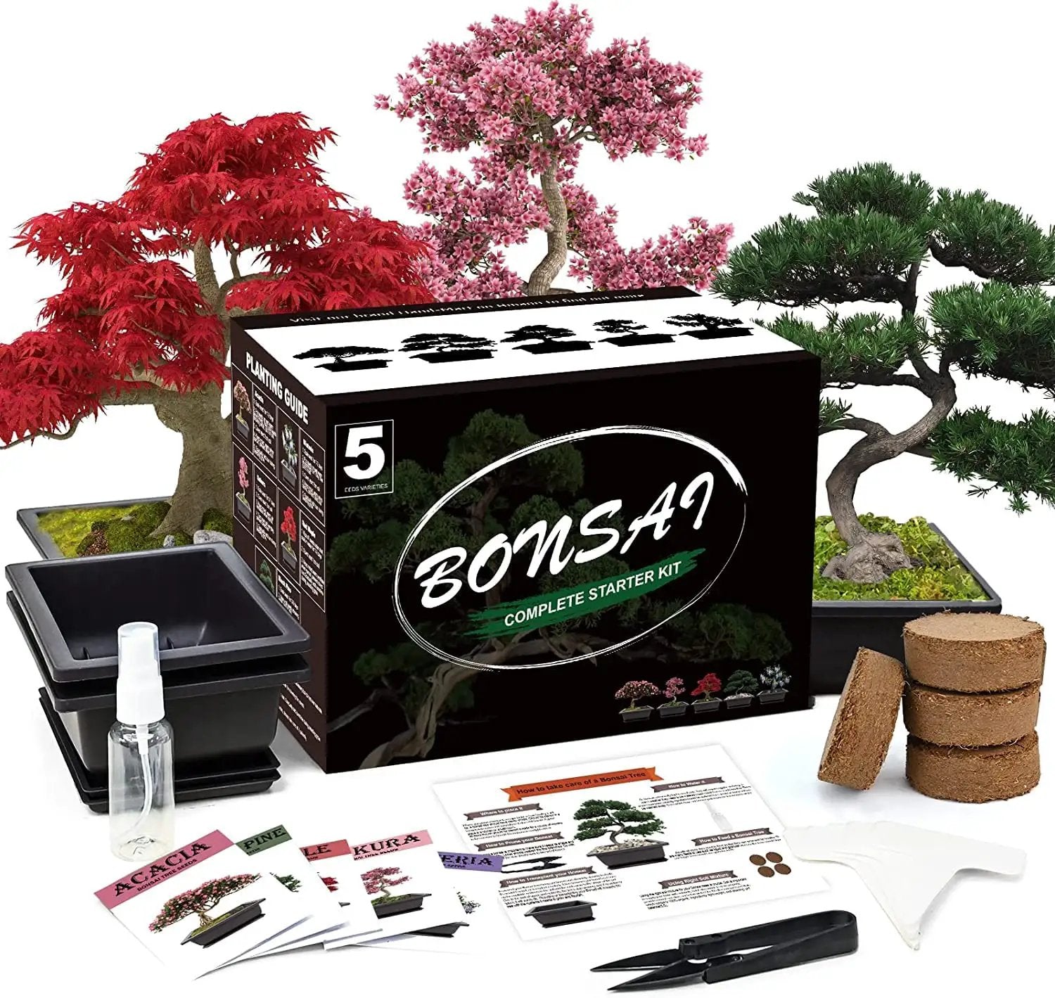 Five Piece Bonsai Kit with Pots for Growth ✓