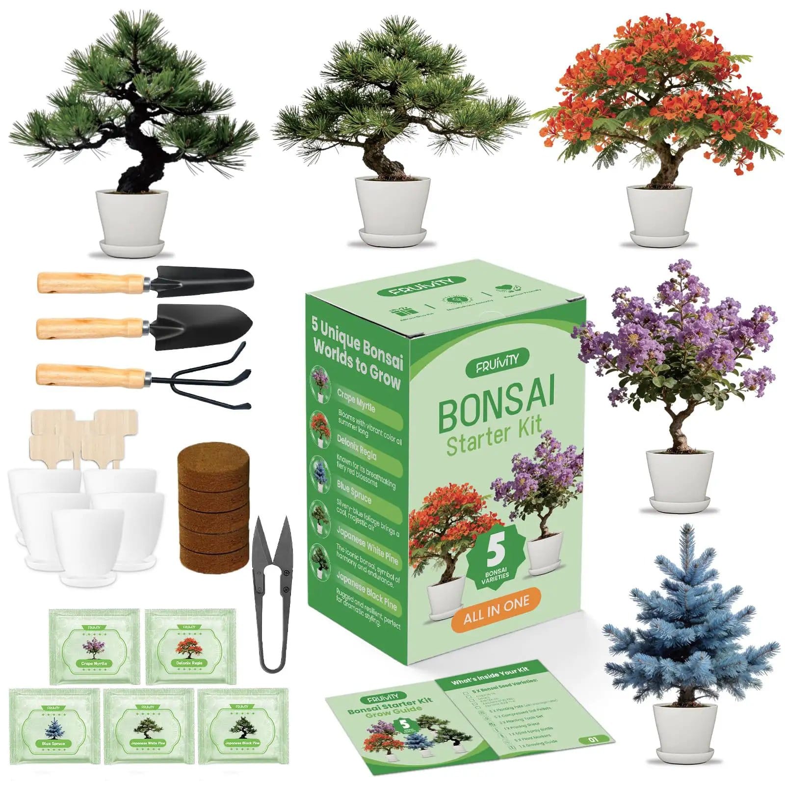 bonsai tree kit for beginners Beginner Bonsai Kit for Indoor Growth ✓