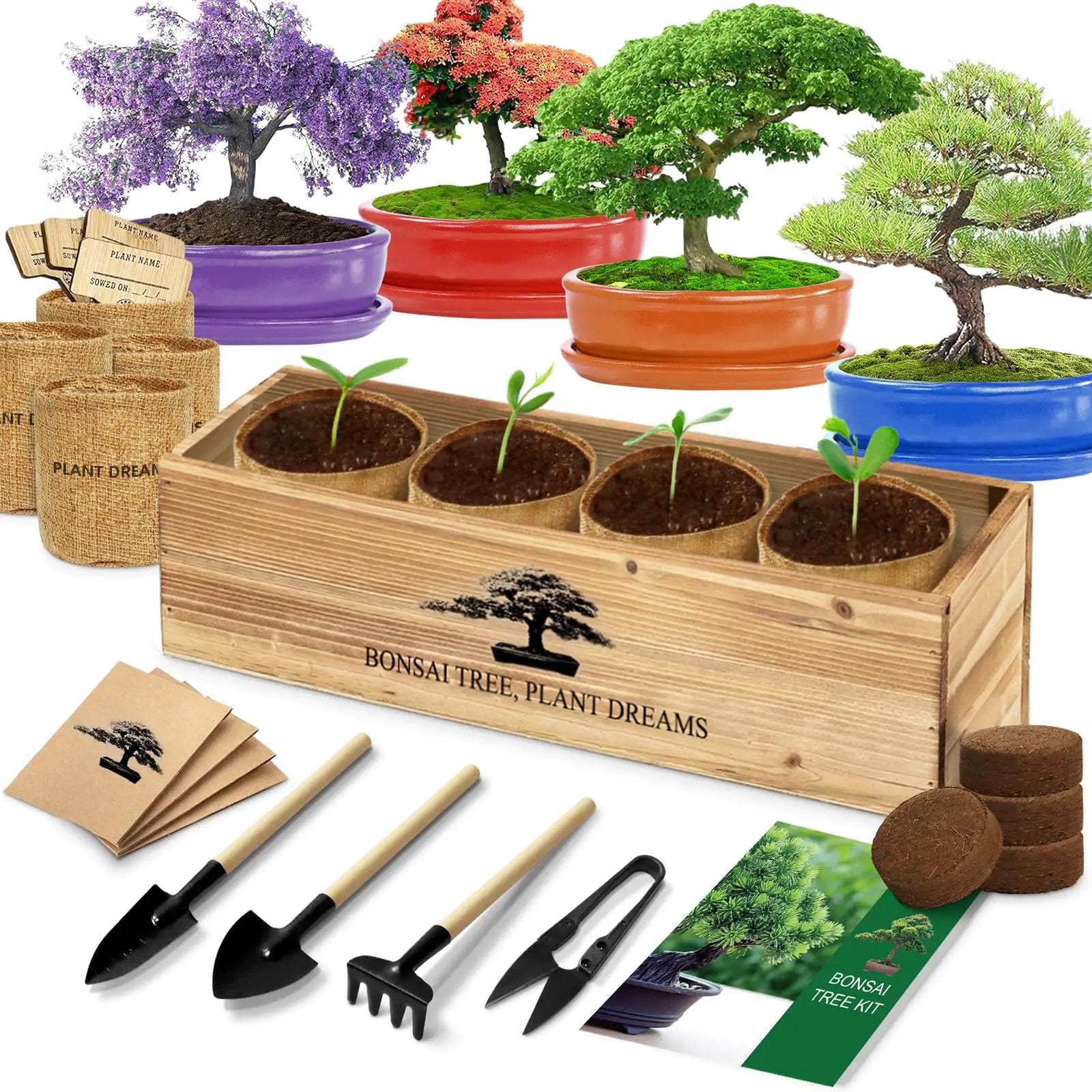 indoor bonsai tree kit Beginner Friendly Bonsai Starter Kit With Seeds And Tools All In One Indoor Tree Growing Set For Living Plants Great Gift For Women Men Mom Dad Plant