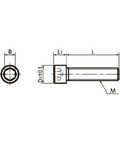 SNS-M10-40-EL NBK Socket Head Cap Screws Electroless Nickel Plating - Pack of 10. Made in Japan - VXB Ball Bearings