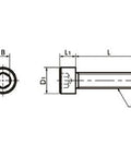SNSI-M3-20 NBK Socket Head Cap Screw - Inconel equiv.- Made in Japan - VXB Ball Bearings
