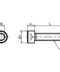 SNSMN-M3-6 NBK Hex Socket Head Cap Screws (Monel 400 equiv.)- Made in Japan - VXB Ball Bearings