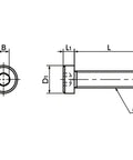 SPE-M4-12-LC NBK Plastic screw - Hex Socket Low Head Bolt - PEEK Made in Japan - VXB Ball Bearings