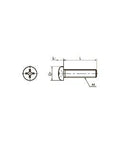 SPS-M2-6-P NBK Plastic Screw - Cross Recessed Pan Head Machine Screws - PPS Pack of 20 Screws - Made in Japan - VXB Ball Bearings