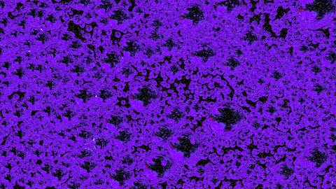 The Latest Global Market Trends in Ball  Roller Bearings