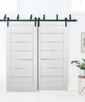 Barn Bypass Doors 36 By 84 With 6.6 Foot Hardware, White Silk Frosted Glass Double Sliding Lite Panel, Solid MDF Eco Veneer Finish.