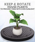 10 Inch Lazy Susan Turntable Organizer with large non skid rotating swivel base holding a potted plant, black
