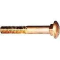One Half Inch Thirteen UNC Carriage Bolts Two And A Half Inch Long Silicon Bronze Alloy 651 Nonmagnetic Corrosion Resistant
