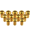 12 Pcs M5x10 Titanium Torx Bolts for Bicycle Disc Brake Rotors Made from Grade 5 6AL 4V Titanium Alloy Featuring T25 Torx Head, gold finish.