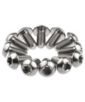 12 Pcs M5x10 Titanium Torx Bolts for Bicycle Disc Brake Rotors with T25 Torx Head, featuring natural titanium finish.