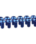 12 Pcs M5x10 Titanium Torx Bolts for Bicycle Disc Brake Rotors Made from Grade 5 6AL 4V Titanium Alloy Featuring T25 Torx Head close-up view