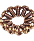 12 Pcs M5x10 Titanium Torx Bolts for Bicycle Disc Brake Rotors arranged in a circle showcasing bronze finish and T25 Torx heads.
