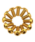 12 Pcs M5x10 Titanium Torx Bolts for Bicycle Disc Brake Rotors in a circular arrangement, featuring a gold finish and T25 Torx heads.