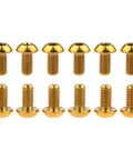 12 Pcs M5x10 Titanium Torx Bolts for Bicycle Disc Brake Rotors featuring T25 Torx Head in gold finish layout