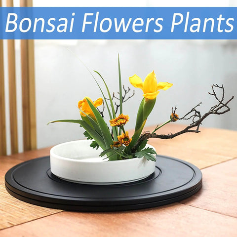 16 Inch Heavy Duty Lazy Susan Rotating Swivel Stand with a bonsai display in a white pot, non skid turntable for plants and crafts