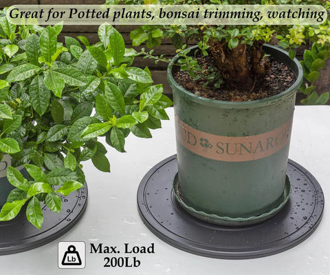 16 Inch Lazy Susan Turntable Heavy Duty Rotating Swivel Stand with Steel Ball Bearings holding bonsai plant