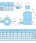 Technical diagram of ✝️ 20T Hydraulic Cylinder Jack Hollow Single Acting Hydraulic Ram Cylinder 2"(50mm) with specifications table.