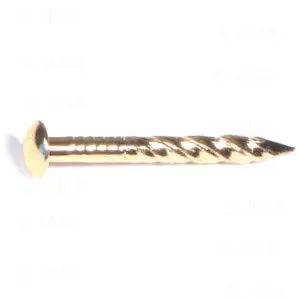Premium 11 Gauge 7 8 Inch Carpet Trim Nails Brass Finish On Steel Core Heavy Duty Fasteners For Flooring And Trim Work Pack Of 80, showing a single nail.