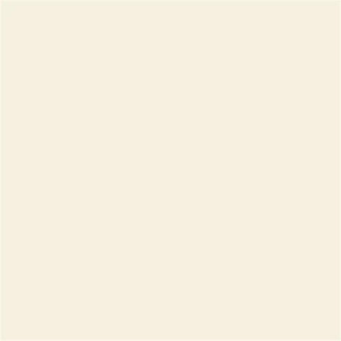 Solid off-white color sample with no visible features.