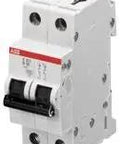 Two Pole 16 Amp Type C Miniature Circuit Breaker S202 C16 for Panelboards and Home Electrical Projects Compact 2P CB Quick Reset