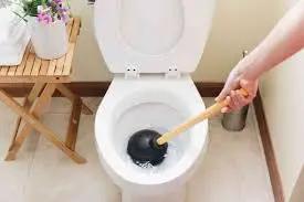 Heavy Duty Rubber Toilet Plunger With Solid Wood Handle And Precision Force Cup Head boosts suction for clearing toilets.