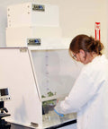 Scientist using 24 Inch Wide Portable Laminar Flow Hood for Medical and Laboratory Use, ISO Class 5 Cleanroom, positive pressure workspace.