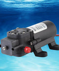 Workhorse Compact 24V Diaphragm Pump High Flow Five Liters Per Minute Self Priming Electric Water Pump with blue background