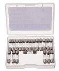 2A 250V Slow Blow Glass Fuses T2AL250V 5x20mm Time Delay Pack Of 20 in open case for electronics repair and DIY projects