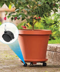 Terracotta planter on 4pcs 2 Inch Swivel Caster Wheels with M8 Grip Neck Stem and Brake Heavy Duty Black Nylon Replacement Casters.