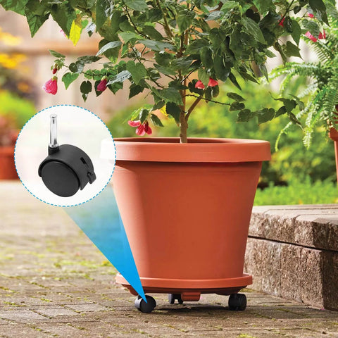 Terracotta planter on 4pcs 2 Inch Swivel Caster Wheels with M8 Grip Neck Stem and Brake Heavy Duty Black Nylon Replacement Casters.