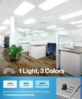 Office with 2x4 LED Flat Panel Ceiling Light, Pack Of 12, Dimmable 0-10V, Selectable CCT 4000K, 5000K, 6000K Options