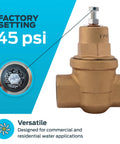 Performance Driven Three Quarters Inch EB75 FPT To FPT Pressure Regulator Valve With 45 PSI Setting, Durable Brass, Model 23000 0045