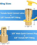 Six Piece 3/8 Inch LP Propane And Natural Gas Quick Connect Fittings Kit showing female quick connect valve and male quick connect plug.