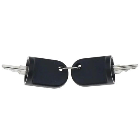 RXV Golf Cart Ignition Keys Replacement Kit showing two keys connected by a chain, compatible with OEM 611282 605946 606993