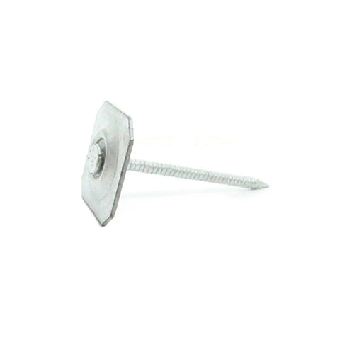 Professional Grade 2 Inch 11 Gauge Ring Shank Square Cap Nails Electro Galvanized Steel showing diamond point for secure grip.