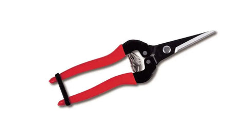 Needle Nose Fruit Pruners With Long Harvest Blade, All Metal Construction, Ergonomic Handles, Spring Loaded Mechanism, Secure Strap