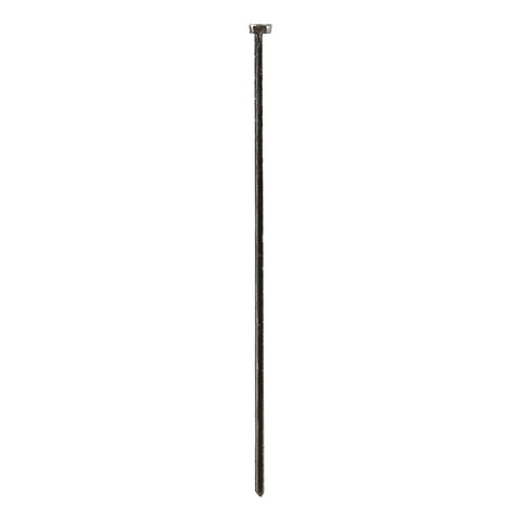 Single Stainless Steel 18 Gauge Glue Collated Brad Nail 2 Inch for Trim Molding and Baseboards, corrosion resistant.
