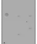 Gray Outdoor Circuit Breaker Enclosure For QO 70 To 200 Amp Weatherproof Electrical Box back view
