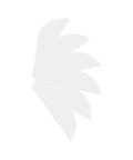 2 Inch TPU Arrow Vanes White Fletchings For DIY Arrows Archery Bow Pack Of 50 Lightweight Durable Plastic Vanes spread out in a fan shape