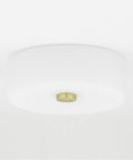 Sophie 2 Light Flush Mount Ceiling Light In Polished Nickel Finish Dope Sleek Modern Indoor Lighting Fixture Against White Ceiling
