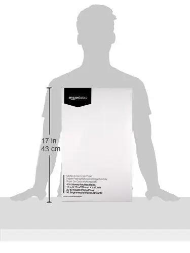Top Notch Multipurpose Copy Paper 20 Lb 11 X 17 Inches Tabloid Size 5 Full Reams 2500 Total Sheets 92 Bright White standing next to a silhouette.