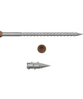 Dang Tough 305 Stainless Steel Cedar Decking Screws Featuring T15 Star Drive Trim Head with flush trim head and spiral grooves.