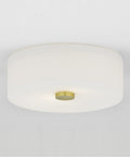 Sophie 2 Light Flush Mount Ceiling Light In Polished Nickel Finish Dope Sleek Modern Indoor Lighting Fixture Measuring 4.5 Inches Tall And 11.75 Inches Wide Bulbs Not Included