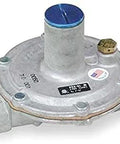 Gas pressure regulator, front view; silver metal body, blue cap, brass adjustment screw, inlet/outlet ports.