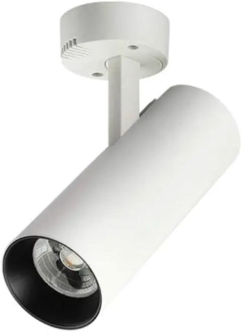DJVHSRI Recessed Lighting Housing Trim Kits Led Dual-Use Ceiling Downlight Interior Home Background Wall Porch Lighting Aluminum Spot Lamp Restaurant Cafe Decor Ceiling,White Lig,White Light_10w, white cylindrical LED fixture.