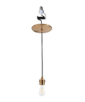 Slick Six Inch Recessed Can To Instant Pendant Light Conversion Kit In Top Shelf Satin Brass Finish With E26 Socket with bulb.