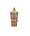 P1000AXL-125C brass pressure relief valve with green cap and threaded bottom outlet.